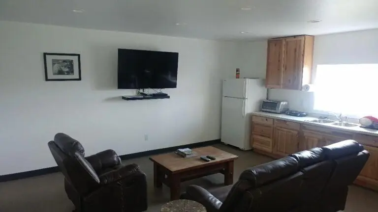 Spacious living room with kitchen and TV.